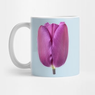 Tulipa  &#39;Purple Flag&#39;    Triumph Tulip Mug